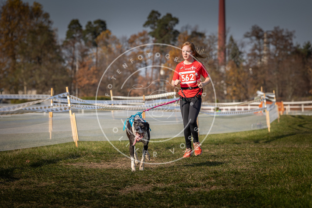CaniXpix_0L8A9431 | Hundefotografie, Tierfotograf, Pfotenfotografie, Fotoshooting Hund, Hunde Portrait, Hundesport, Hundeportraits, Heideshooting, Hunde, Sportfotograf, Hundefotograf, Turnierhundsport, THS,  - Realisiert mit Pictrs.com