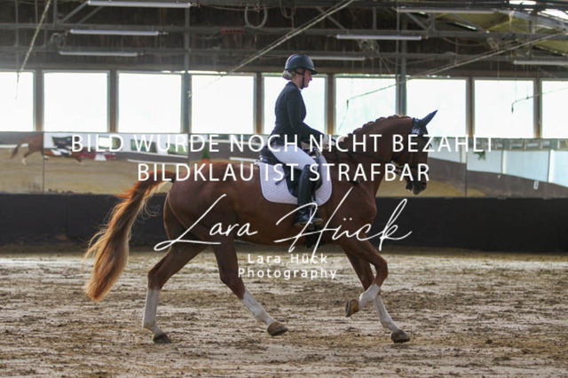 DKP45853 | larahueckfotografie