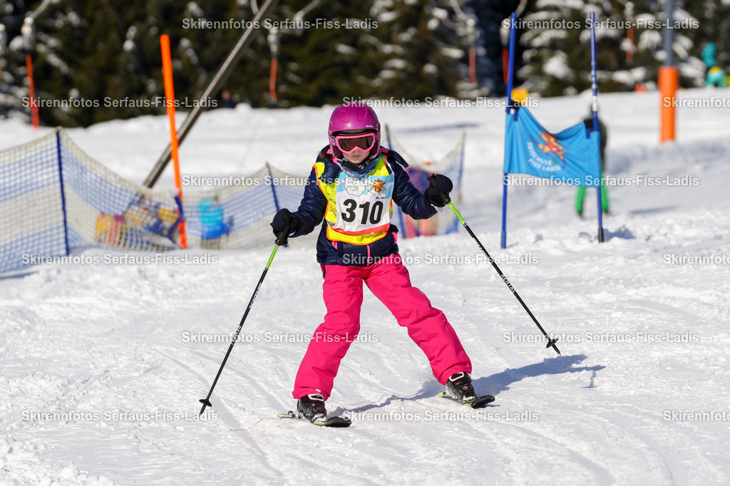 SRF_09.01.2026_0498 | SRF_09.01.2026_0498 - Realisiert mit Pictrs.com