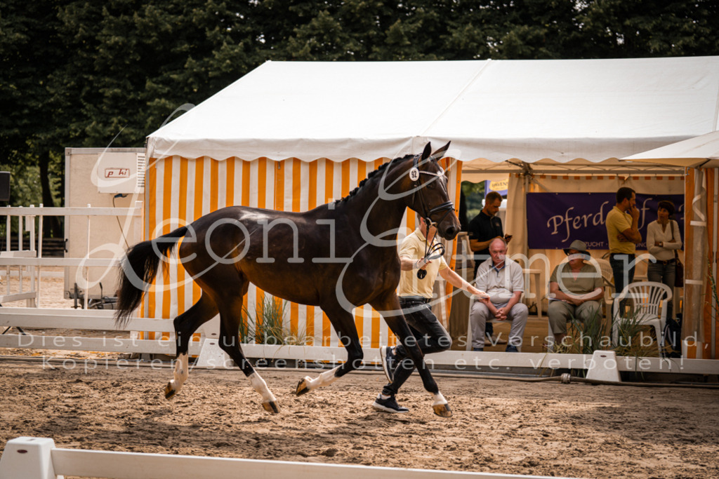 6.Fr00032 | Leoni Ertmer Photography - Realisiert mit Pictrs.com