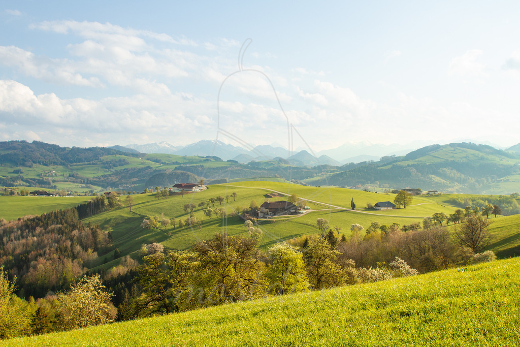 Mostviertelblick  | Ausblick von der Aussichtswarte Voralpenblick

Bei Veröffentlichung des Bildes ist eine Namensnennung wie folgt erforderlich: 
Foto: Mostdirn Irmgard Wieser - Realisiert mit Pictrs.com