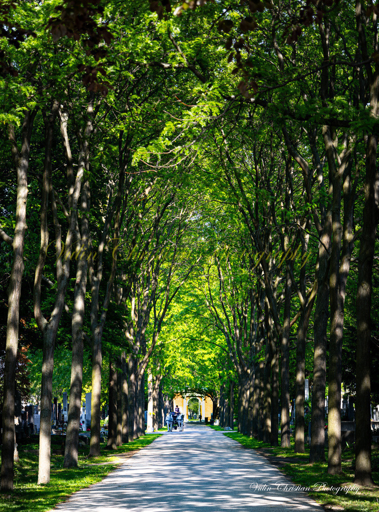 ZF 10.1 | Christian Vulin  - Realisiert mit Pictrs.com