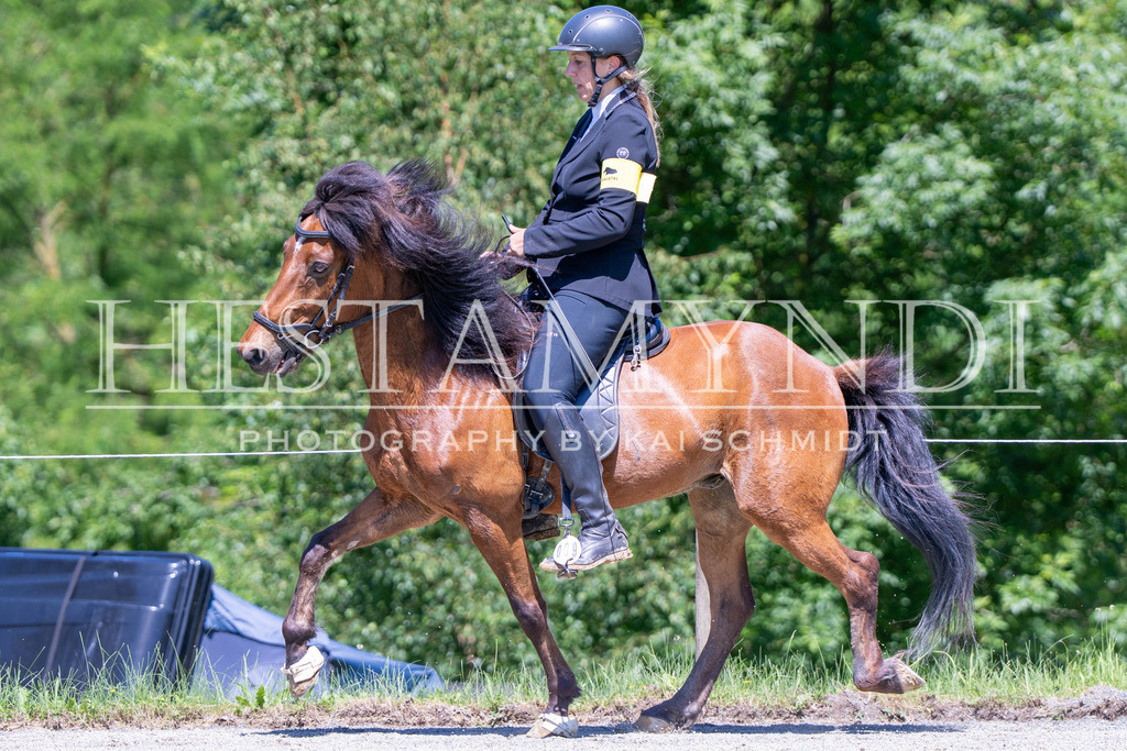 KAI08480 | Ihr sucht einen Fotografen für eure nächste OSI? Ich begleite auch euer Turnier für Islandpferde fotografisch.  - Realisiert mit Pictrs.com