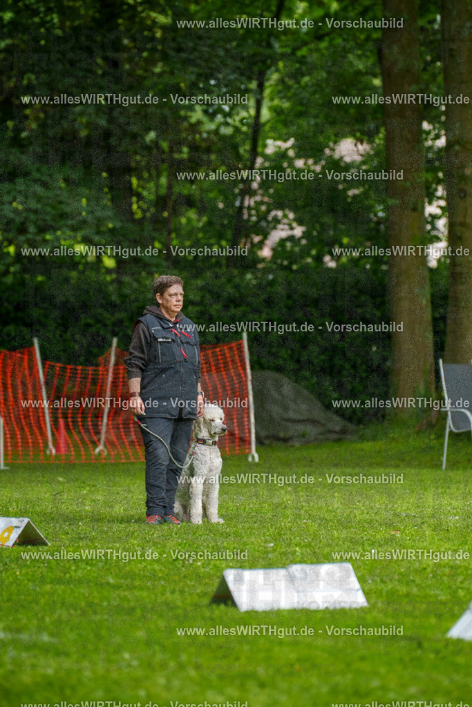 @allesWIRTHgut_Tierfotografie - www.allesWIRTHgut.de - 7R503542 | Professionelle Tierfotografie in Mönchengladbach von Daniel Wirth (allesWIRTHgut). Liebevolle & natürliche Bilder von Hunden & Katzen für unvergessliche Erinnerungen.
