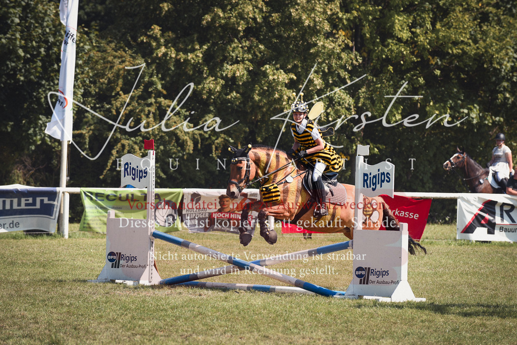 DSC_0286 | Pferde- und Turnierfotografie in Westsachsen. Pferdeportraits, Auftragszeichnungen und intuitive Kunst.