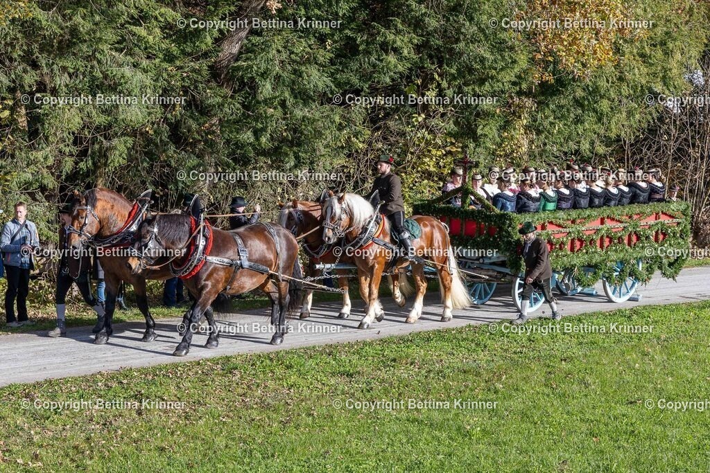 LBT24-563 | foto-bettina-krinner - Realisiert mit Pictrs.com