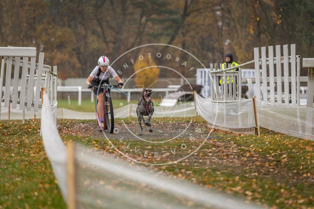 CaniXpix_DV3A7651 | Hundefotografie, Tierfotograf, Pfotenfotografie, Fotoshooting Hund, Hunde Portrait, Hundesport, Hundeportraits, Heideshooting, Hunde, Sportfotograf, Hundefotograf, Turnierhundsport, THS,  - Realisiert mit Pictrs.com
