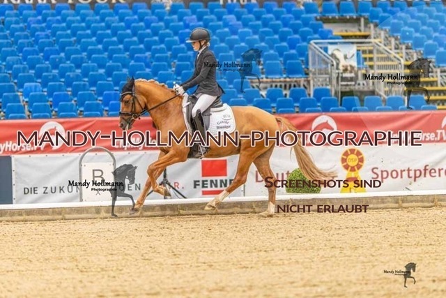 28-8-26 5j DRE-16 | mandyhollmannphotographie