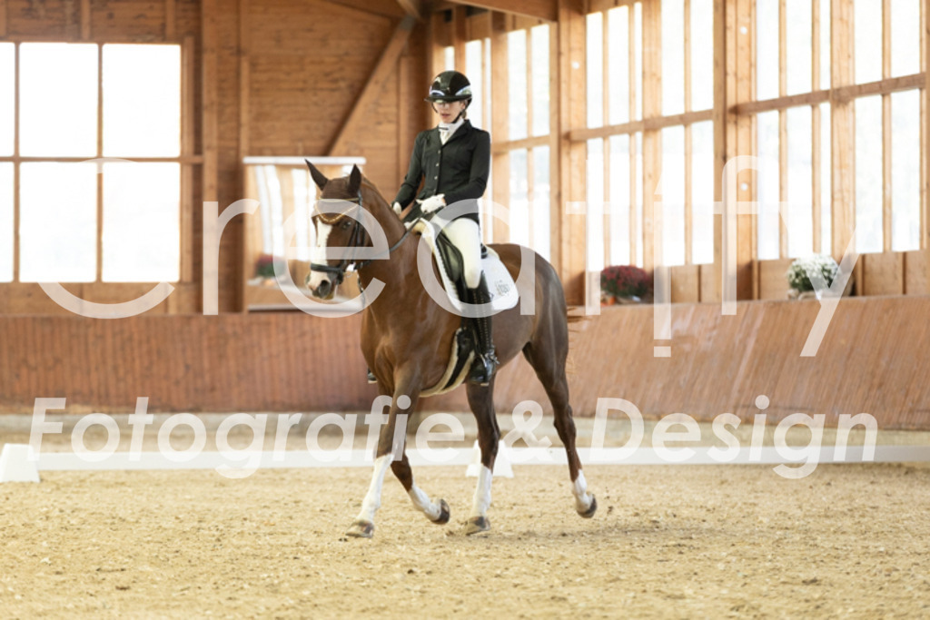 IMG_1384 | Creatify Fotografie