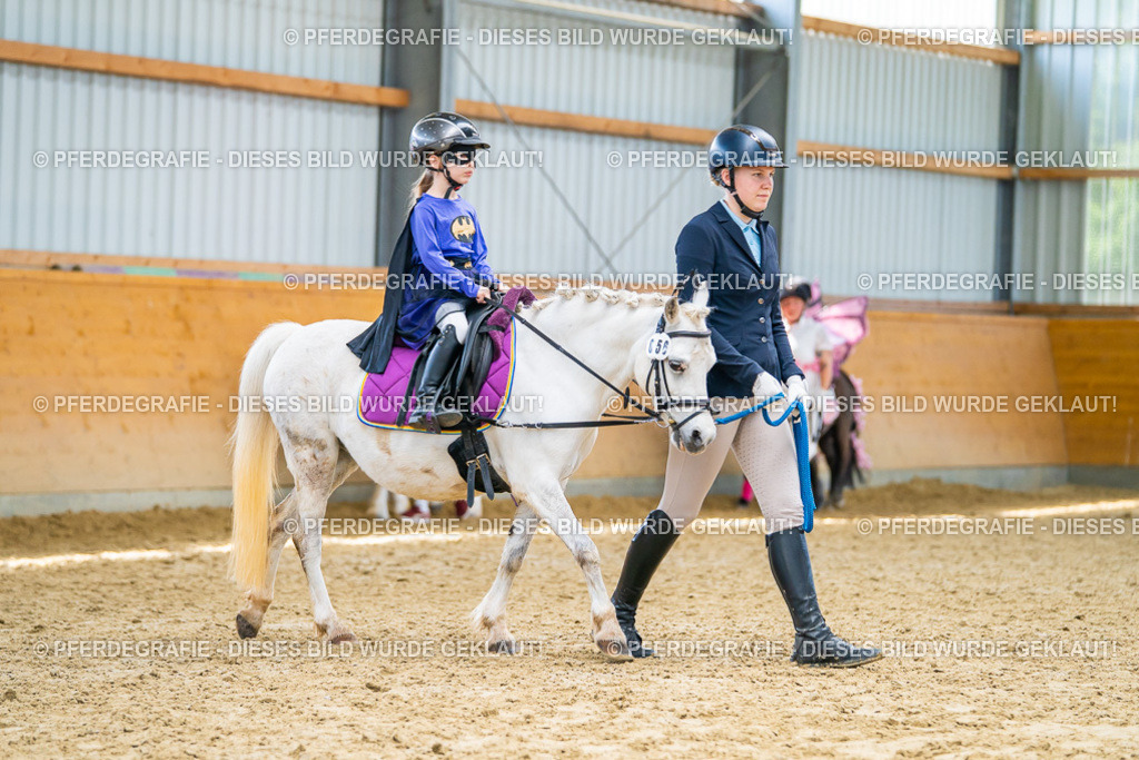 DSC09851 | Pferdegrafie