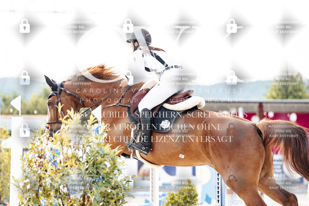CK906958 | Turnierfotografie Pferdefotografie Trier Rheinland-Pfalz Pferdesport Reitsport Tierfotografie Sportfotografie Pferdevideo Pferdevideografie Equestrianvideography equestrianphotography  - Realisiert mit Pictrs.com