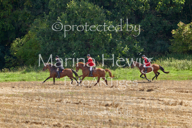 _MCH8221_Marina Hewig | Fotografie, FotoArt, PferdesportArt, Pferdesportfotografie, Landschaftsfotografie, Reisefotografie, Reise, Pferde - Realisiert mit Pictrs.com