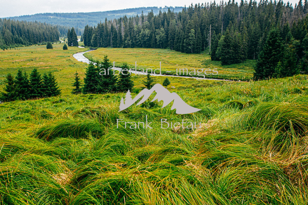 _Z5A4677 | Medien- Sport- Entertainmentfotos