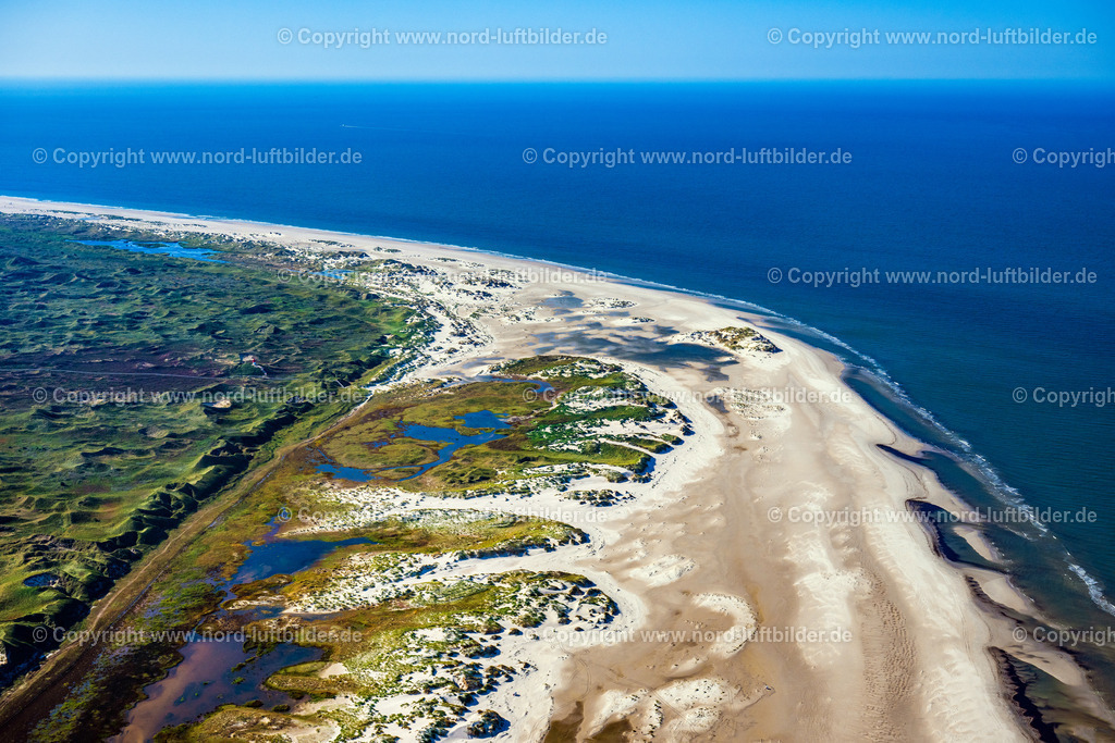 Amrum_Strand_ELS_7576280824 | NORDDORF 28.08.2024 Küsten- Landschaft mit Heide- Landschaft am Sandstrand der Nordsee- Insel Amrum in Norddorf im Bundesland Schleswig-Holstein. // Coastline on the sandy beach of Nordsee- Insel Amrum in Norddorf in the state Schleswig-Holstein. Foto: Martin Elsen