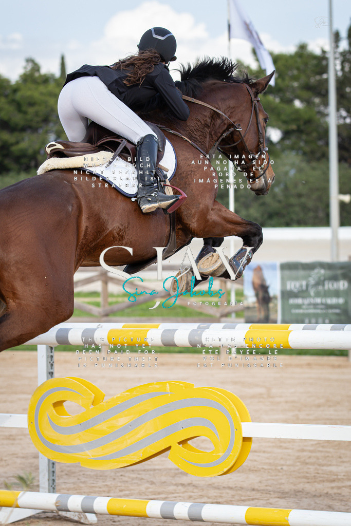 IMG_0458 | s-jay-photography - Realisiert mit Pictrs.com