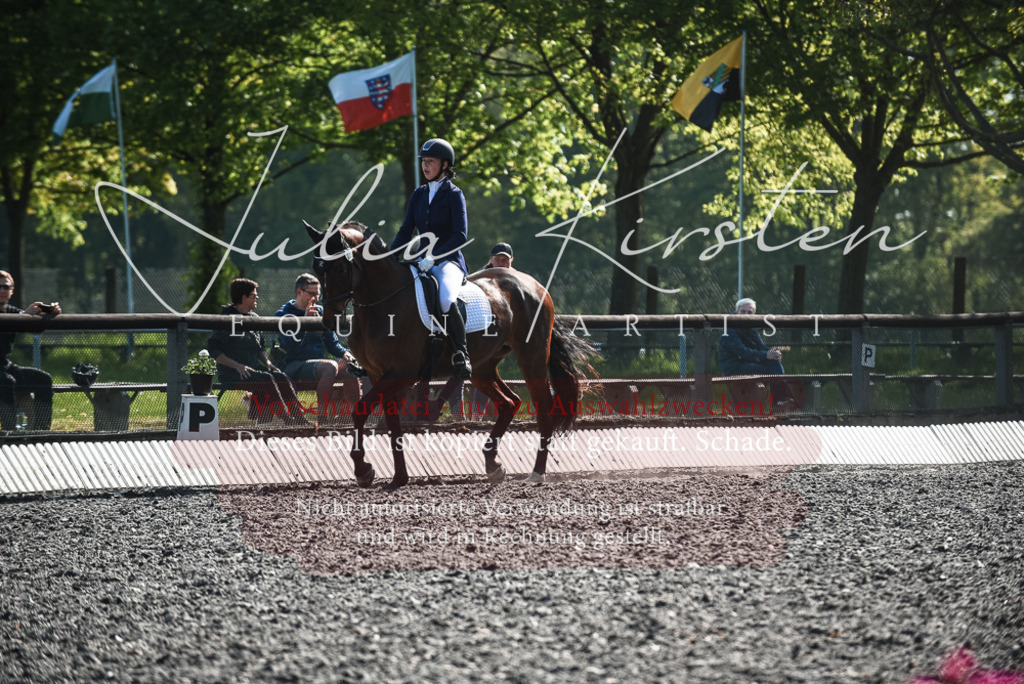 DSC_8762 | Pferde- und Turnierfotografie in Westsachsen. Pferdeportraits, Auftragszeichnungen und intuitive Kunst.