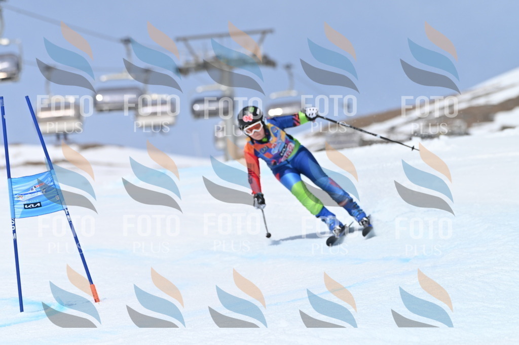 BGV_3872 | holidayphoto