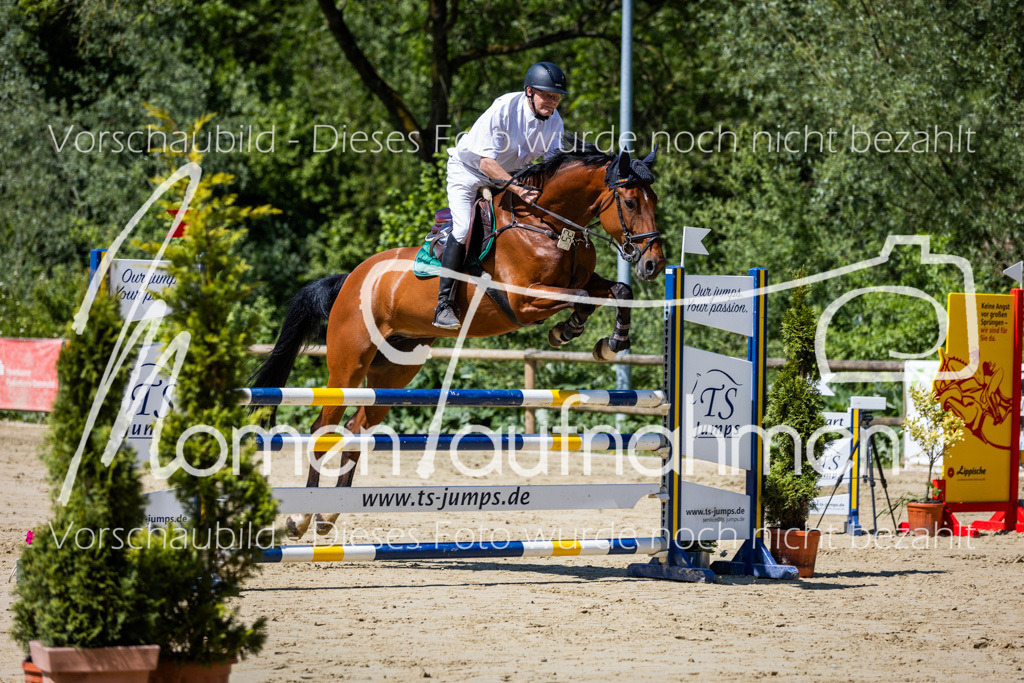 Donop24-L-Spr-017 | MomenTaufnahmen Pferdesportfotos