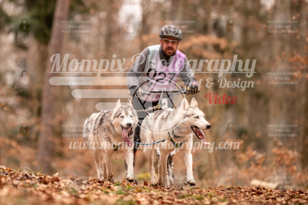 AKM_ST_2023_SAM_DS2-69 | mompixphotography