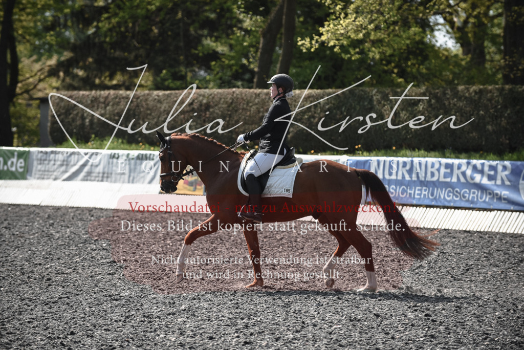20230513_JK-Röhrsdorf-14-229 | Pferde- und Turnierfotografie in Westsachsen. Pferdeportraits, Auftragszeichnungen und intuitive Kunst.