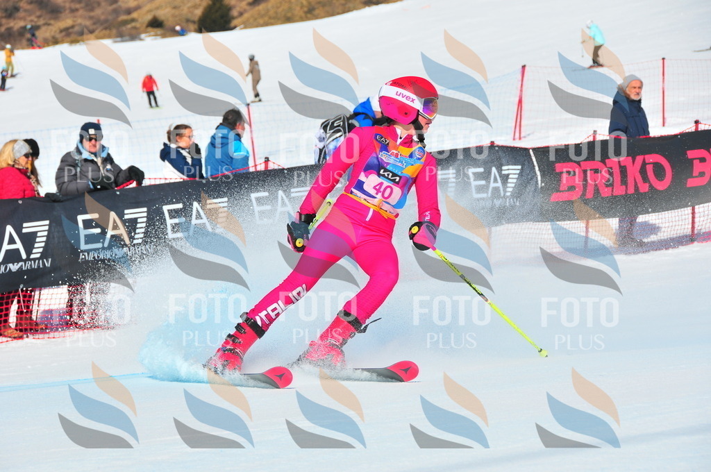 DSC_4020 | holidayphoto