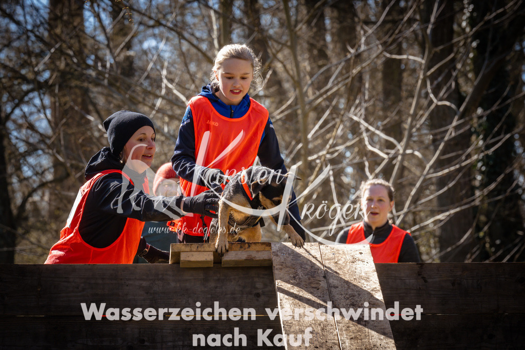 0929_ZZ95785 | kk-dogfotos