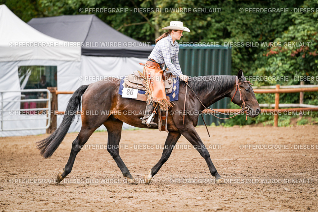 DSC08183 | Pferdegrafie