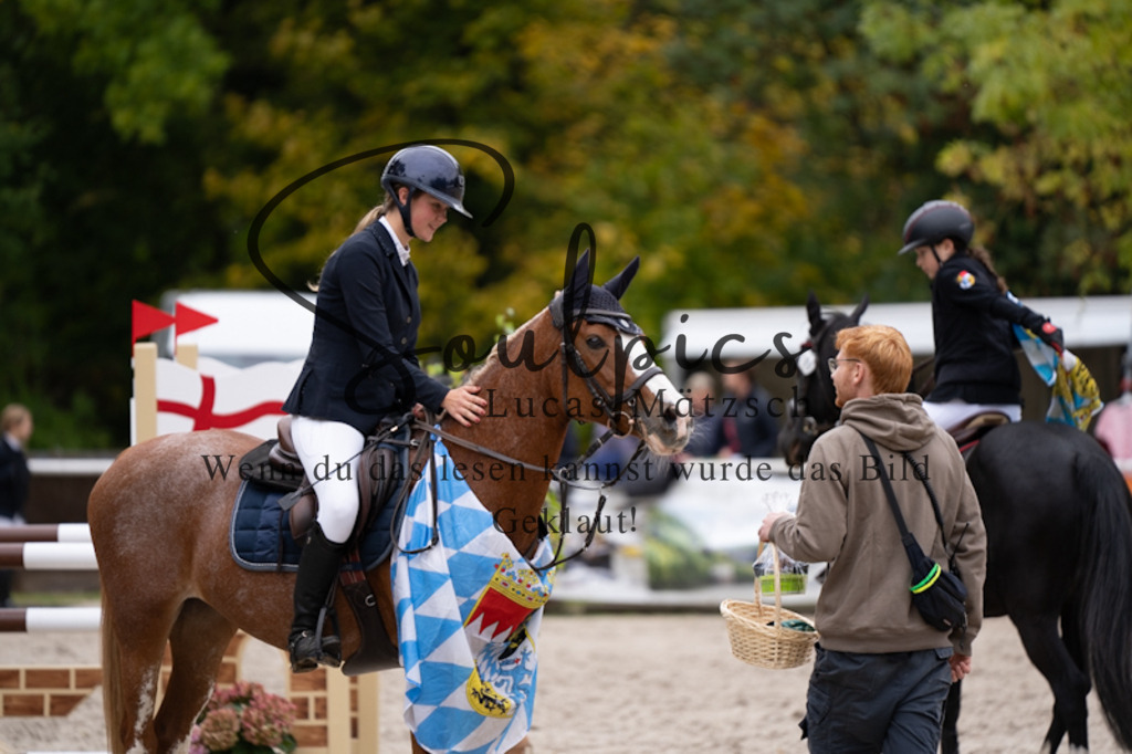 A7V09236 | Pferdefotograf