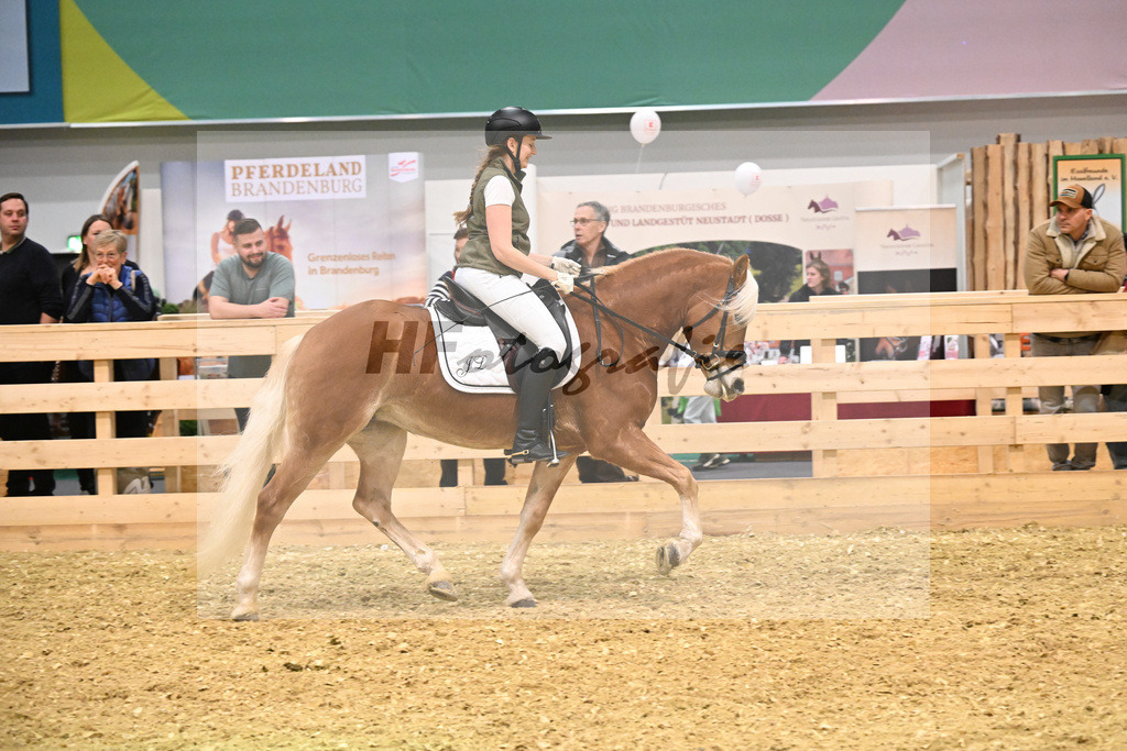 Schauprogramm_Umara_1261135 | hf-fotografie - Realisiert mit Pictrs.com