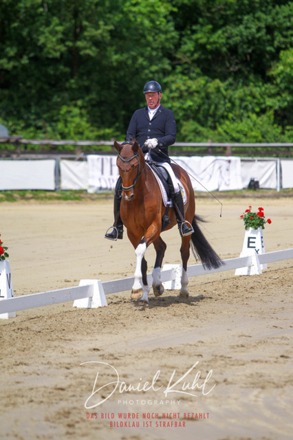 DKP46008 | Turniersportfotografie; Pferdefotografie; Dressurfotografie
