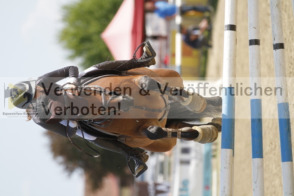 _MG_2585 | equestrian-live-com