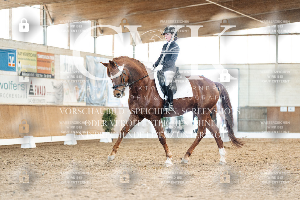 CK908378 | Turnierfotografie Pferdefotografie Trier Rheinland-Pfalz Pferdesport Reitsport Tierfotografie Sportfotografie Pferdevideo Pferdevideografie Equestrianvideography equestrianphotography  - Realisiert mit Pictrs.com