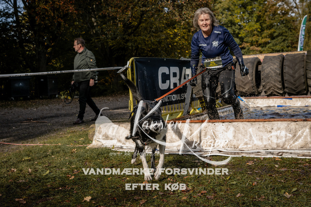 1350_ZZ93213 | kk-dogfotos