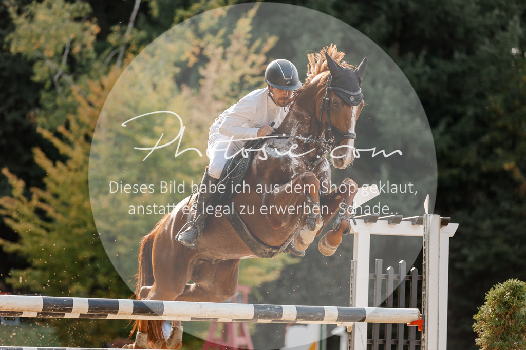 3I6A5152 | Stimmungsvolle Portraits und Reitsportfotografie im Ruhrgebiet und im Münsterland.

Pferdefotografie, Hundefotografie, Tierfotografie, Reportagen, Portraits von Tier und Mensch, Turnierfotografie in Bochum, Recklinghausen, Marl, Haltern am See, Dülmen.. - Realisiert mit Pictrs.com