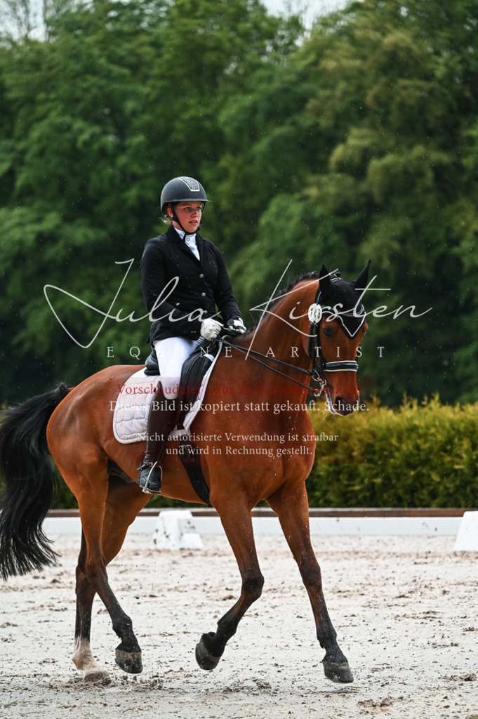DSC_4405 | Pferde- und Turnierfotografie in Westsachsen. Pferdeportraits, Auftragszeichnungen und intuitive Kunst.