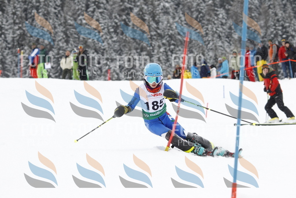 A2140 | holidayphoto