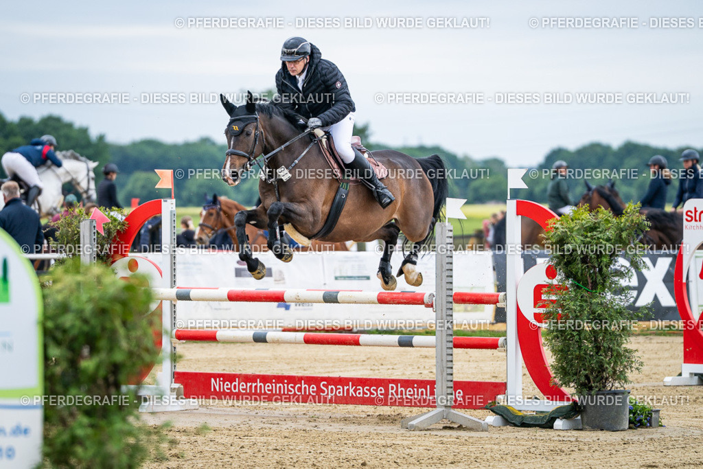 DSC04652 | Pferdegrafie