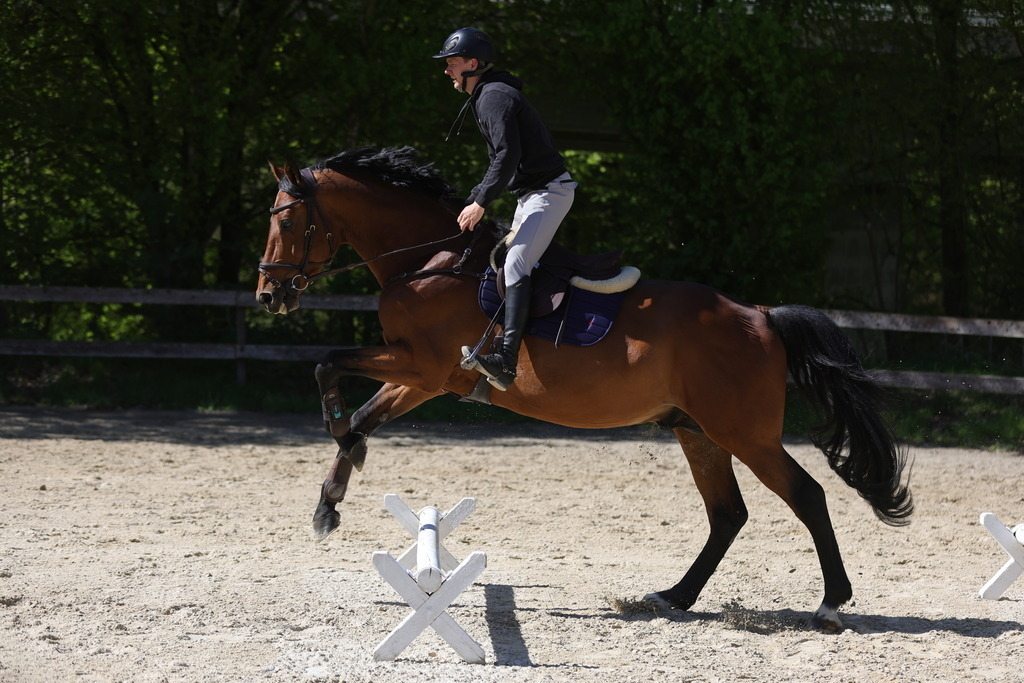 0P6A8132 | Willkommen bei Brunnmayr - Design & Fotografie – Ihrem Spezialisten für Reitturniere und Pferdeveranstaltungen in Oberösterreich, Salzburg und Bayern! Seit über 17 Jahren sind wir leidenschaftlich dabei.