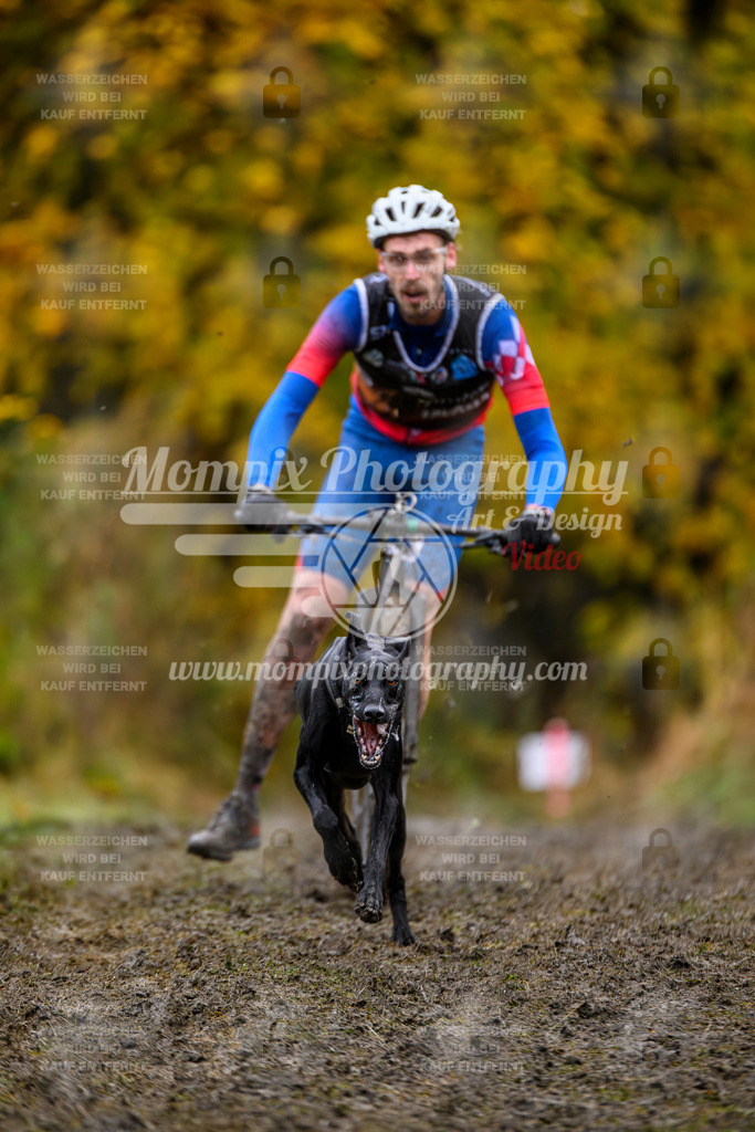 MompixPhotography_ICF_WC_2024_SA_DS_-12 | PayLife