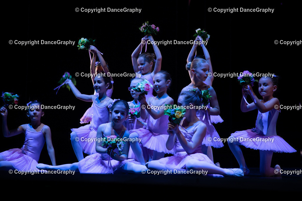 GPHY4884 | DanceGraphy - Realisiert mit Pictrs.com