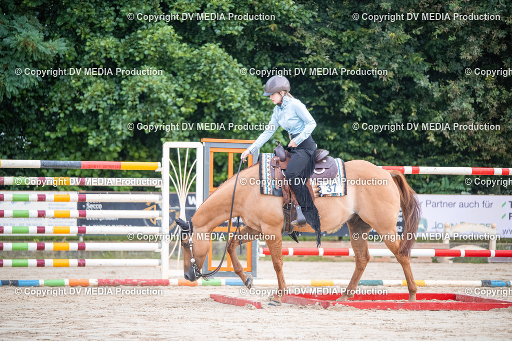 ZS3_4464 | dv-media-shop - Realisiert mit Pictrs.com