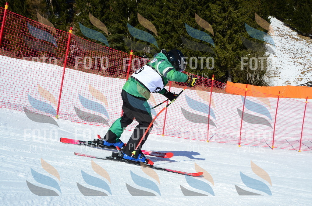 C5696 | holidayphoto