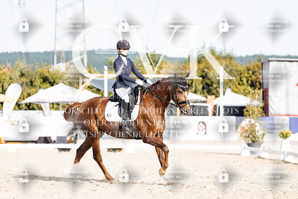 CK905165 | Turnierfotografie Pferdefotografie Trier Rheinland-Pfalz Pferdesport Reitsport Tierfotografie Sportfotografie Pferdevideo Pferdevideografie Equestrianvideography equestrianphotography  - Realisiert mit Pictrs.com