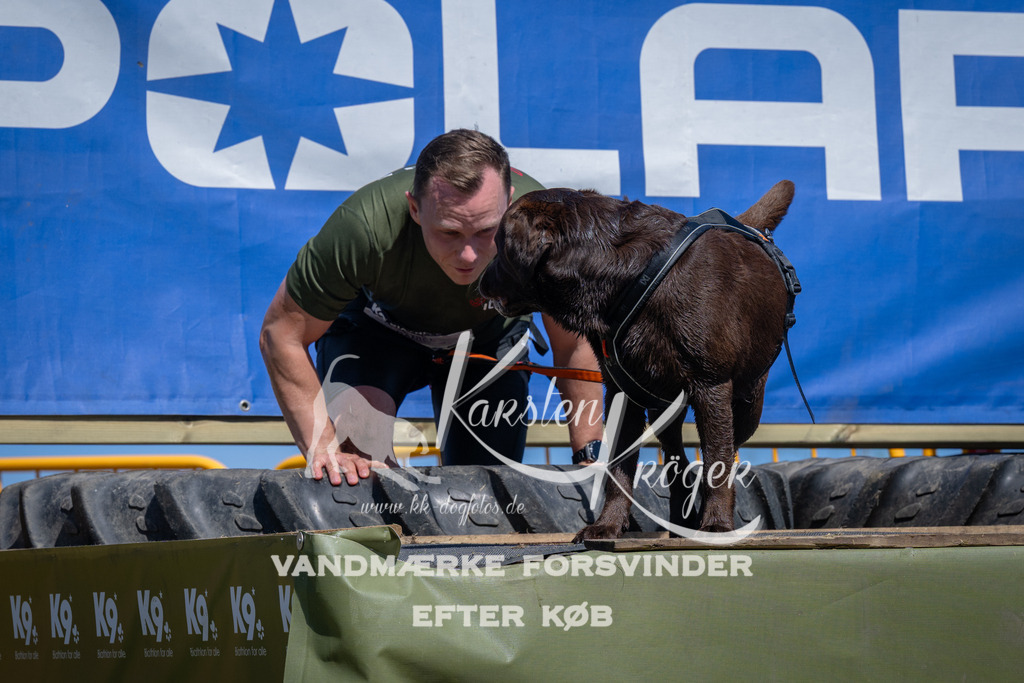 1316_ZZ98558 | kk-dogfotos