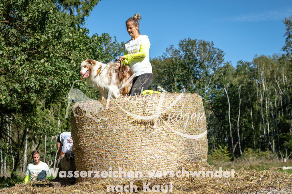 1212_ZZ90692-2 | kk-dogfotos