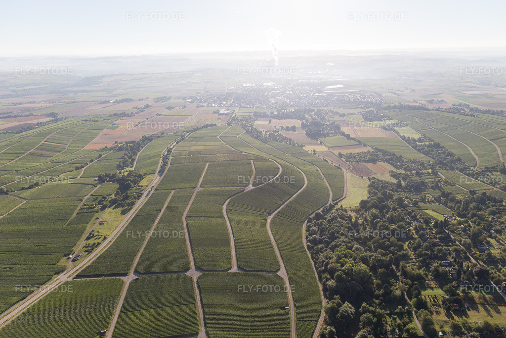 Luftbild: Weinberge in Bönnigheim im Bundesland Baden-Württemberg in Deutschland. Foto: IMG_093835.jpg vom 23.08.2016 durch Werner Riehm/FLY-FOTO.de