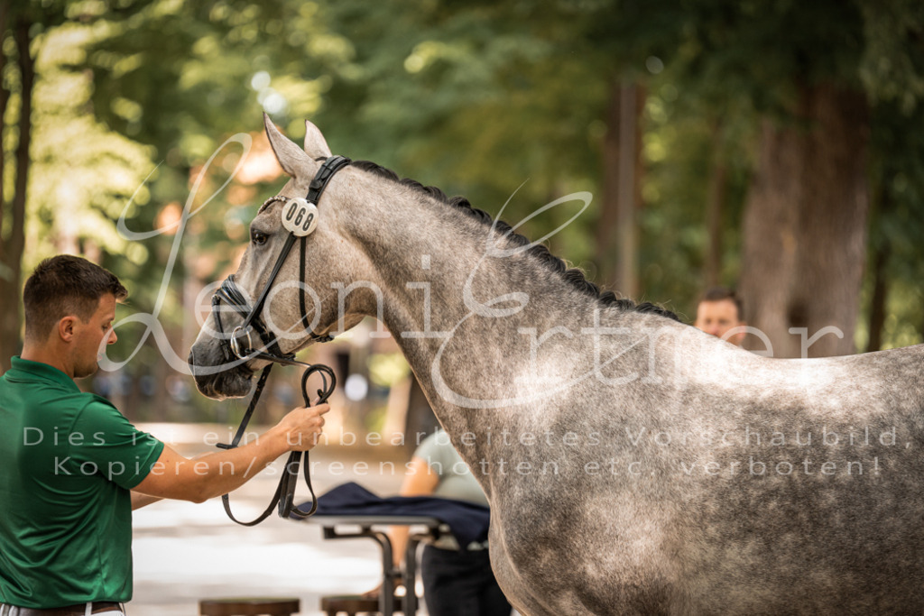 FrPfM00180 | Leoni Ertmer Photography - Realisiert mit Pictrs.com