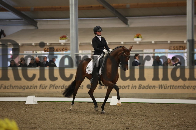Waghäusel-Wiesental_2024_Prfg.Nr.08_1.WP_U25_Ann-Kathrin Lachemann_Bella Benicia L (6) | Alle Fotos der Reiterjournal Fotografin Doris Matthaes im Reiterjournal Online-Fotoshop. - Realisiert mit Pictrs.com