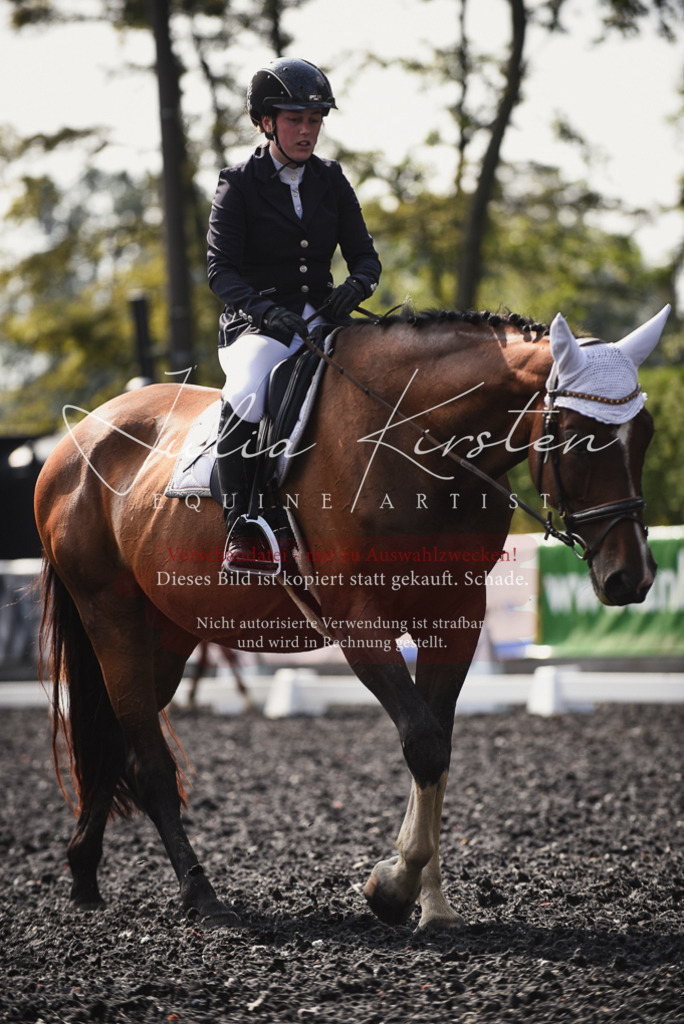 DSC_3577 | Pferde- und Turnierfotografie in Westsachsen. Pferdeportraits, Auftragszeichnungen und intuitive Kunst.
