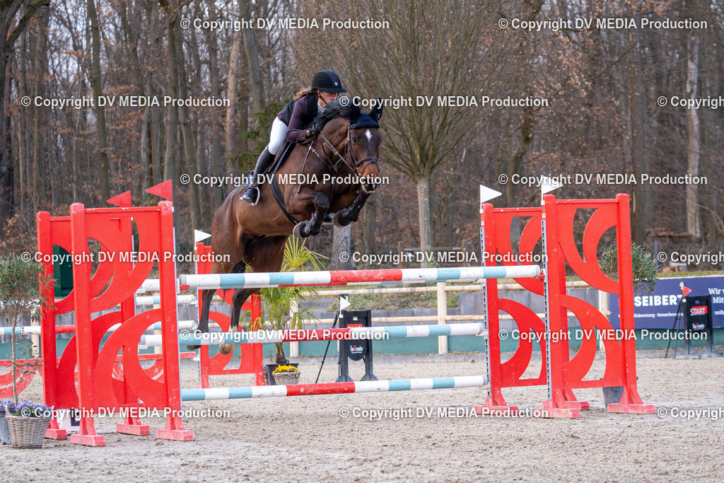 Kranichstein Tag 2-2369 | dv-media-shop - Realisiert mit Pictrs.com